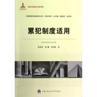 音像累犯制度适用/中国刑事法制建设丛书舒洪水等