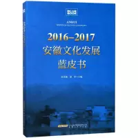 音像2016-2017安徽文化发展蓝皮书编者:曾凡银//邢军