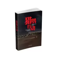 音像猎鸮行动宁志凡