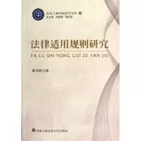音像法律适用规则研究董书平