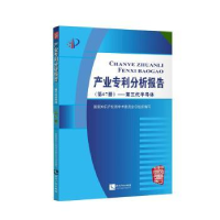 音像产业专利分析报告(第67册)——第三代半导体学术委员会