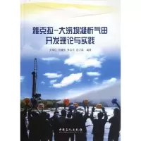 音像雅克拉:大涝坝凝析气田开发理论与实践文军红 等