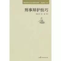 音像刑事辩护技巧陈永学, 余斌编著
