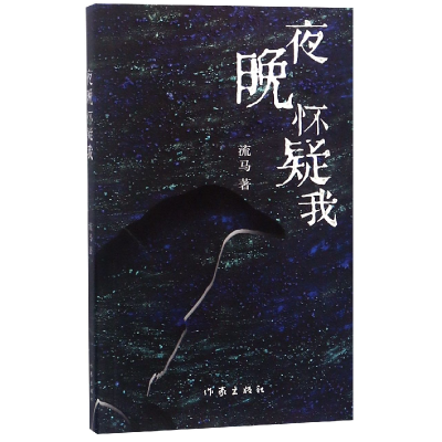 音像夜晚怀疑我流马