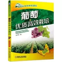 音像葡萄优质高效栽培单守明