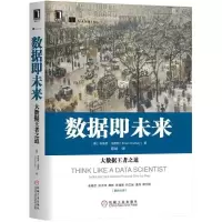音像数据即未来(大数据之道)(美)布瑞恩·戈德西|译者:陈斌