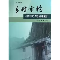 音像乡村重构:模式与创新冯健