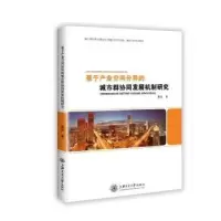 音像基于产业空间分异的城市群协同发展机制研究黄宾著