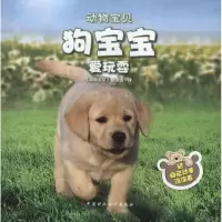 音像狗宝宝爱玩耍迈克尔.泰特尔鲍姆