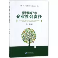 音像视域下的企业社会责任/企业社会责任创新与发展丛书孙美