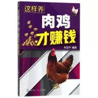 音像这样养肉鸡才赚钱编者:肖冠华