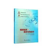 音像偏斜轴系的振动与稳定王德石