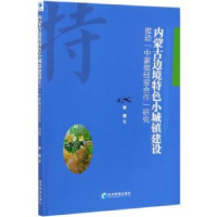 音像内蒙古边境特色小城镇建设推动中蒙俄经贸合作研究李琪