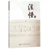 音像法悟(精)张少鹏