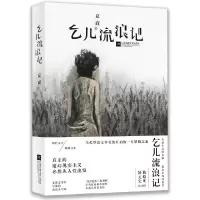 音像乞儿流浪记(精)夏商