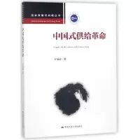 音像中国式供给/发展与战略丛书方福前