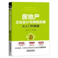 音像房地产企业会计与纳税实操从入门到精通孙金文,田妍