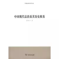 音像中国现代法治及其历史根基/中国法律史学文丛段秋关