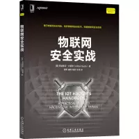 音像物联网安全实战(美)阿迪蒂亚·古普塔