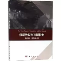 音像煤层致裂与瓦斯控制陆庭侃,郭保华