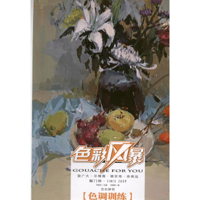音像色彩风暴:色彩静物·色调训练刘晓明