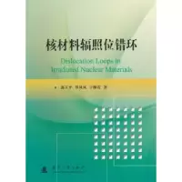音像核材料辐照位错环郭立平 著