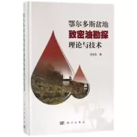 音像鄂尔多斯盆地致密油探勘理论与技术付金华著