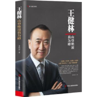 音像王健林:山登绝我为黄鸿涯著