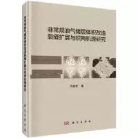 音像规油气储层体积改造裂缝扩展与织网机理研究周德胜