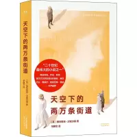 音像天空下的两万条街道(英)帕特里克·汉密尔顿