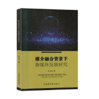音像媒介融合背景下新媒体发展研究赵玉岗