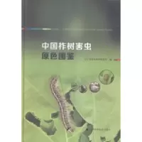 音像中国柞树害虫原色图鉴辽宁省蚕业科学研究所编