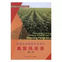 音像黑龙江省新型职业农民典型风采录王金会主编