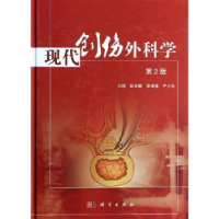 音像现代创伤外科学定,李增春,严力生主编