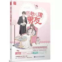 音像奇妙人偶男友昨夜星辰