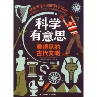 音像看得见的古代文明(美)吉姆·维斯(Jim Wiese)