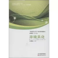 音像环境美化王建廷 编