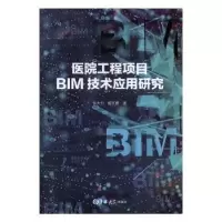 音像医院工程项目BIM技术应用研究张大力