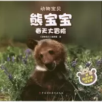 音像熊宝宝春天大冒险(印)戈尔