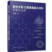音像碳纳米管石墨烯基复合材料制备及应用孟祖超
