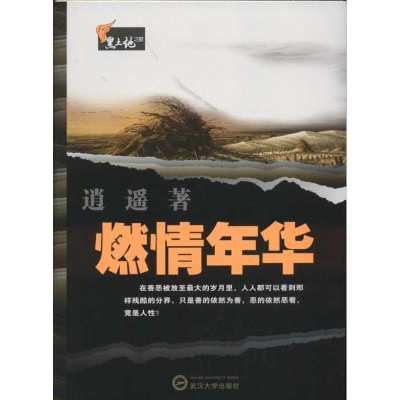 音像燃情年华逍遥