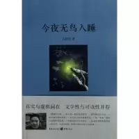 音像今夜无鸟入睡/石新民石新民
