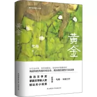 音像黄金 弋舟短篇小说集弋舟