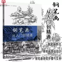 音像钢笔画从入门到精通王林