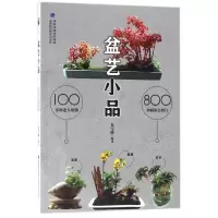 音像盆艺小品编者:兑宝峰