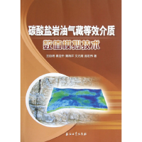 音像碳酸盐岩油气藏等效介质数值模拟技术王自明 等著