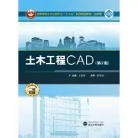 音像土木工程CAD王星捷