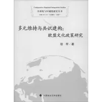 音像多元维持与共识建构宿琴