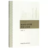 音像城市综合管理理论与实务黄成峰