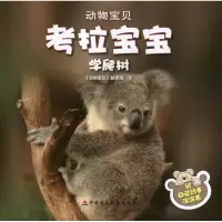音像考拉宝宝学爬树(印)戈尔